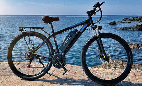 Duotts C29 eBike