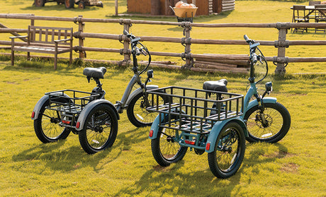 Everything You Need to Know About Cargo E-Bikes: A Comprehensive Buying Guide