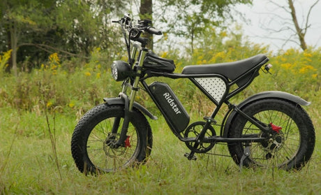 Ridstar Q20 Mountain eBike