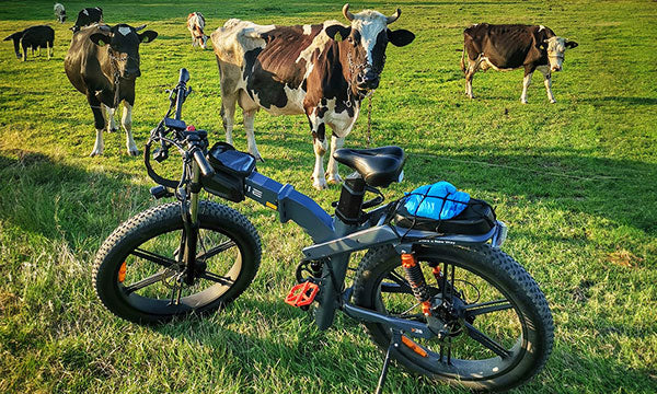 1000w electric bicycles online