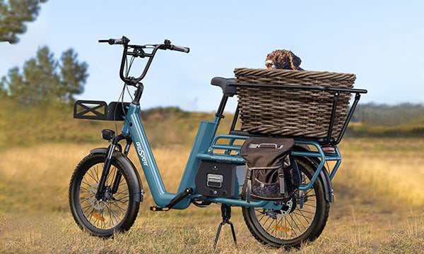 eBikes with Basket