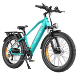 ENGWE E26 Electric Bike 26" Fat Tires 250W Motor 48V 16Ah Battery