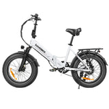 SAMEBIKE LOTDM200-II Folding Electric Bike 20" Fat Tires 750W Motor 48V 13Ah Battery