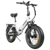 SAMEBIKE LOTDM200-II Folding Electric Bike 20" Fat Tires 750W Motor 48V 13Ah Battery