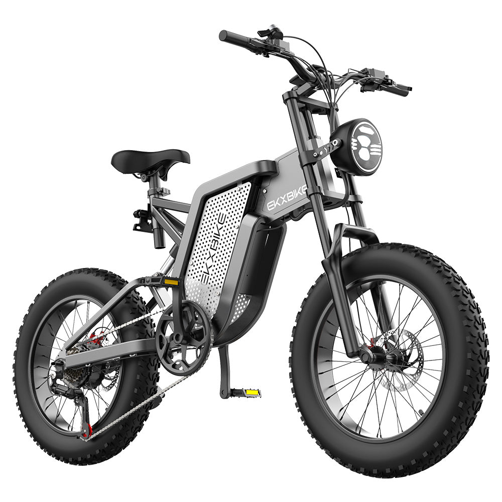 EKXBIKE X20 Electric Dirt Bike 20" Off-Road Fat Tires 2000W Motor