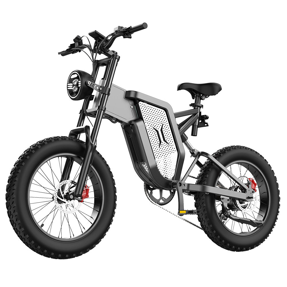 EKXBIKE X20 Electric Dirt Bike 20" Off-Road Fat Tires 2000W Motor