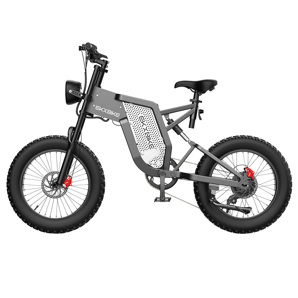 EKXBIKE X20 Electric Dirt Bike 20" Off-Road Fat Tires 2000W Motor