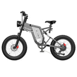 EKXBIKE X20 Electric Dirt Bike 20" Off-Road Fat Tires 2000W Motor