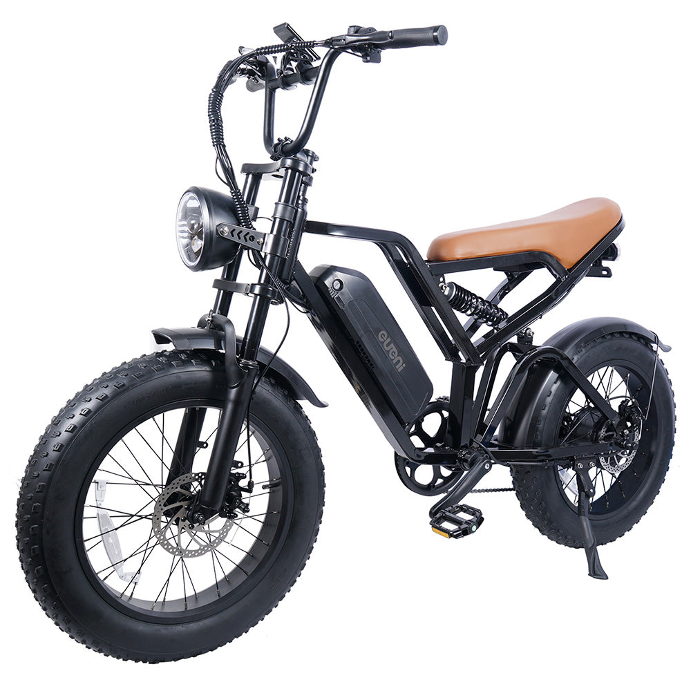 EUENI FXH009 Pro Electric Bike 20" Fat Tires 750W Motor 48V 15Ah Battery