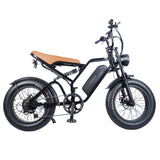 EUENI FXH009 Pro Electric Bike 20" Fat Tires 750W Motor 48V 15Ah Battery