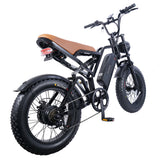 EUENI FXH009 Pro Electric Bike 20" Fat Tires 750W Motor 48V 15Ah Battery