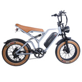 EUENI FXH009 Pro Electric Bike 20" Fat Tires 750W Motor 48V 15Ah Battery