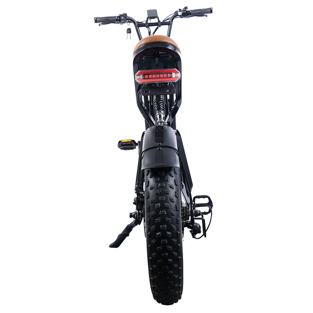 EUENI FXH009 Pro Electric Bike 20" Fat Tires 750W Motor 48V 15Ah Battery