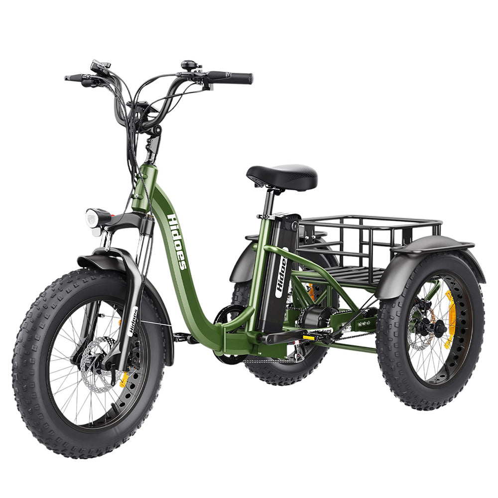 Hidoes HD-ET1 Electric Cargo Tricycle 20" Tires 750W 48V 20Ah