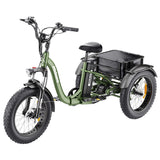 Hidoes HD-ET1 Electric Cargo Tricycle 20" Tires 750W 48V 20Ah