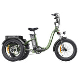 Hidoes HD-ET1 Electric Cargo Tricycle 20" Tires 750W 48V 20Ah