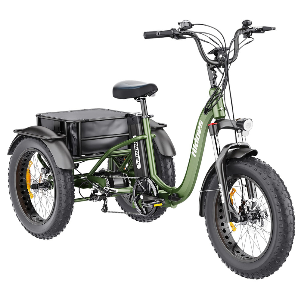 Hidoes HD-ET1 Electric Cargo Tricycle 20" Tires 750W 48V 20Ah