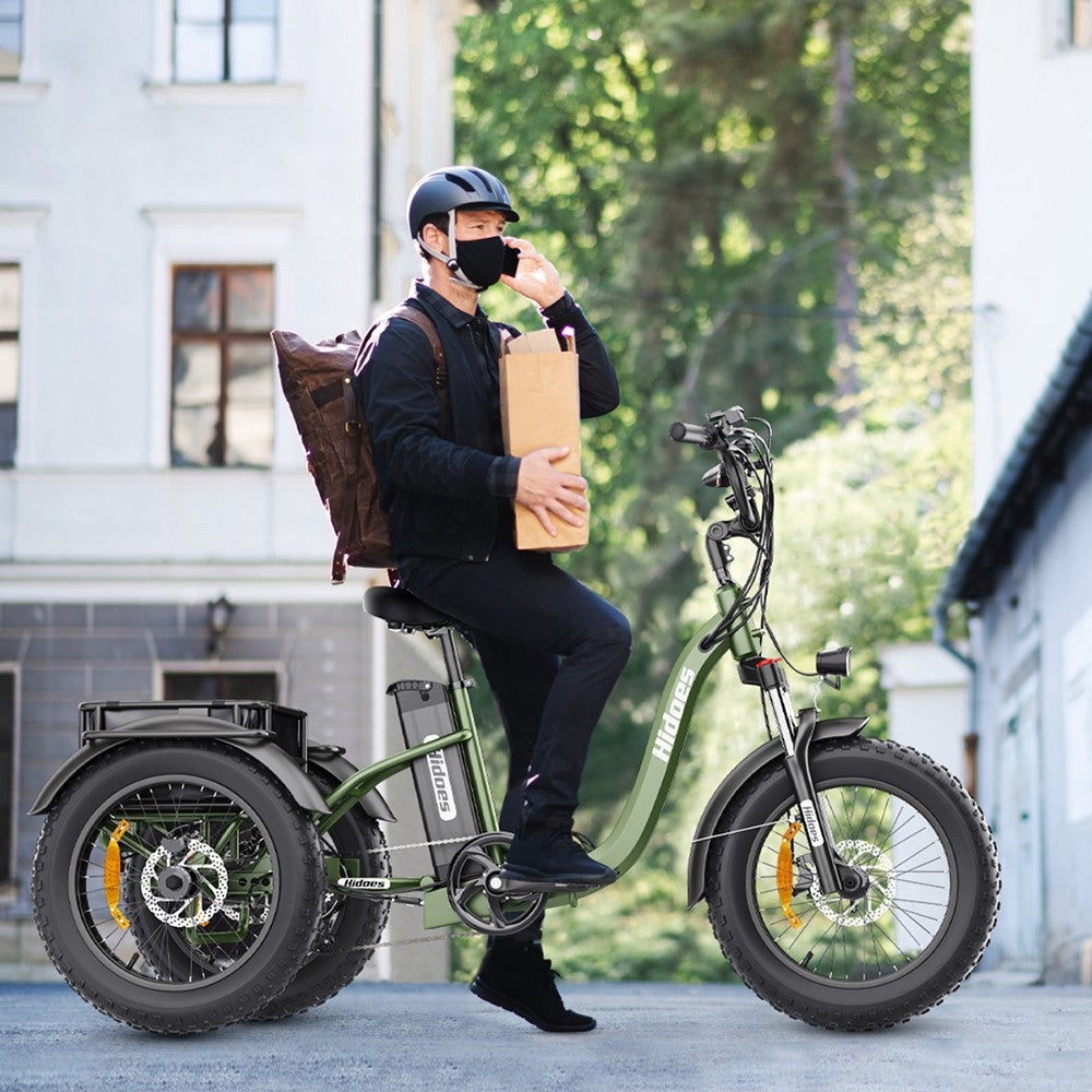 Hidoes HD-ET1 Electric Cargo Tricycle 20" Tires 750W 48V 20Ah