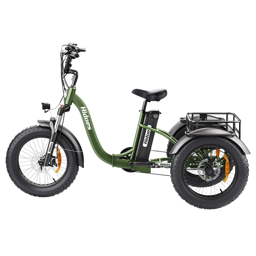 Hidoes HD-ET1 Electric Cargo Tricycle 20" Tires 750W 48V 20Ah