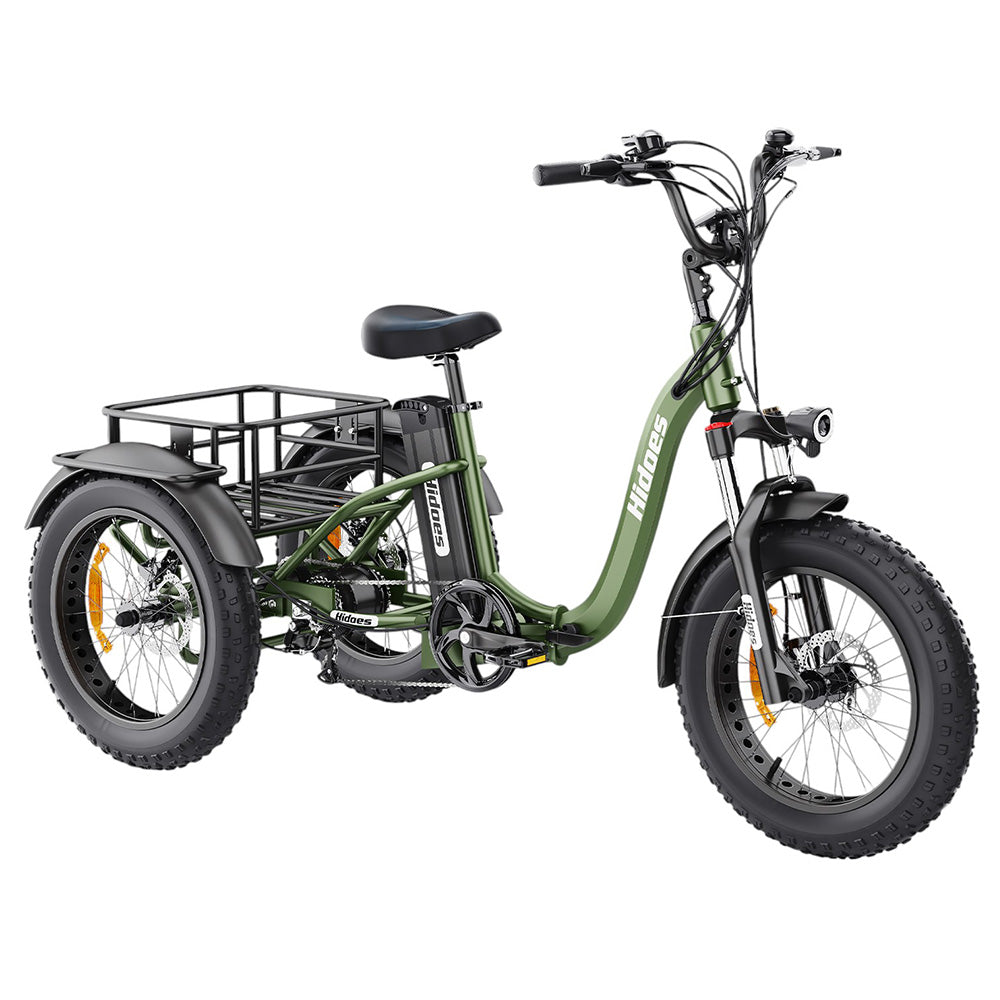 Hidoes HD-ET1 Electric Cargo Tricycle 20" Tires 750W 48V 20Ah