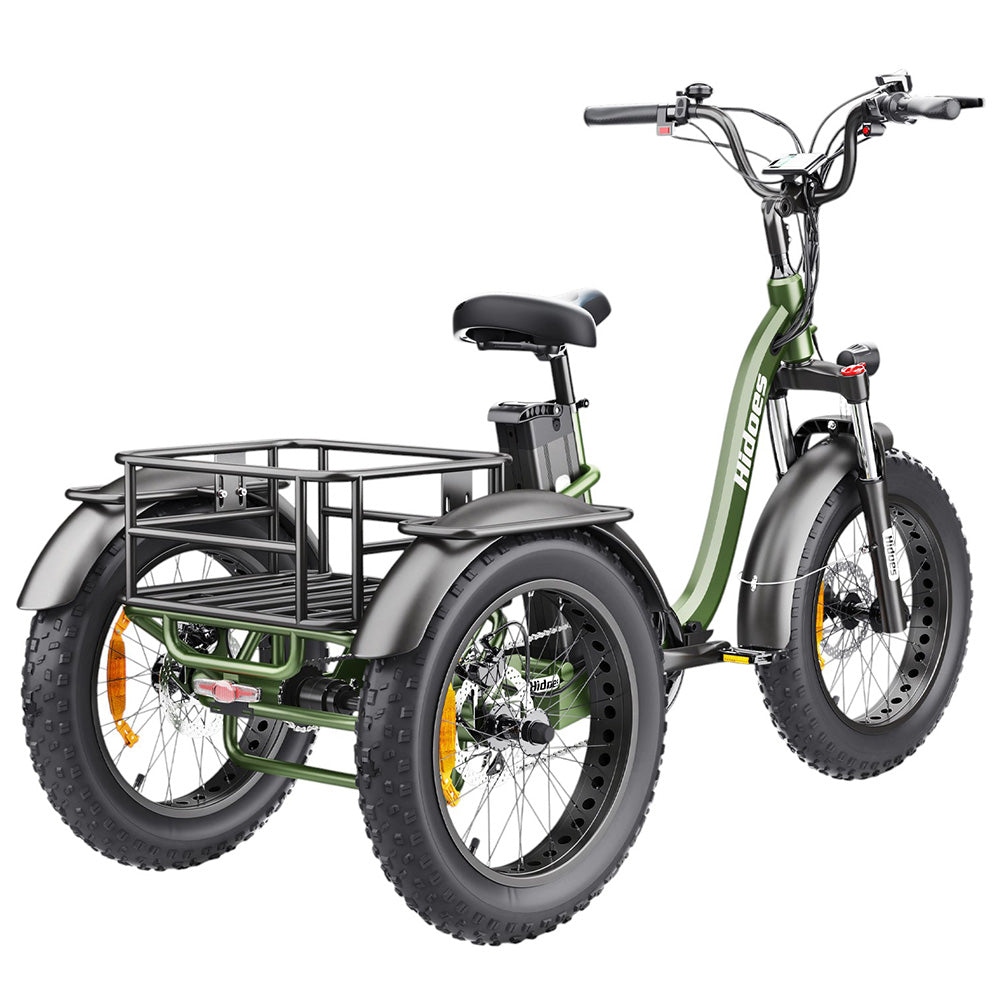 Hidoes HD-ET1 Electric Cargo Tricycle 20" Tires 750W 48V 20Ah