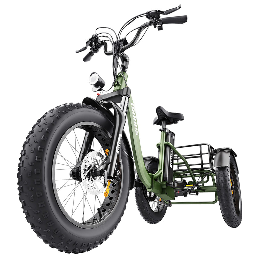 Hidoes HD-ET1 Electric Cargo Tricycle 20" Tires 750W 48V 20Ah