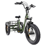 Hidoes HD-ET1 Electric Cargo Tricycle 20" Tires 750W 48V 20Ah