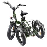 Hidoes HD-ET1 Electric Cargo Tricycle 20" Tires 750W 48V 20Ah