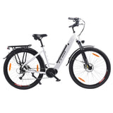 TTGO LK-ZZ-28ST Electric Bike 28" Tires 250W Motor 36V 20Ah Battery