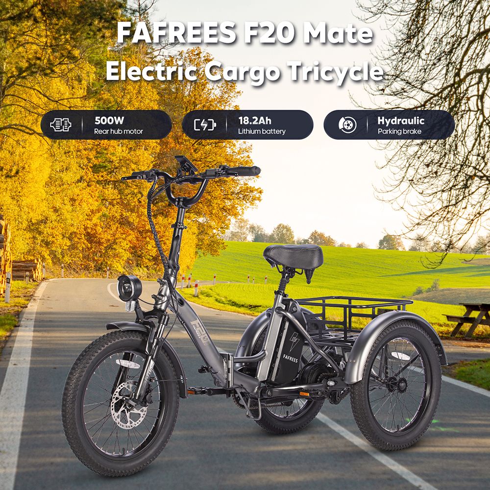 Fafrees F20 Mate Foldable Electric Cargo Tricycle 20" Tires 500W 48V 18.2Ah