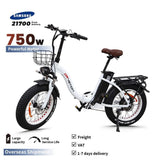 DRVETION CT20 Electric Bike 20" Tires 750W Motor 48V 10Ah/15Ah/20Ah Battery