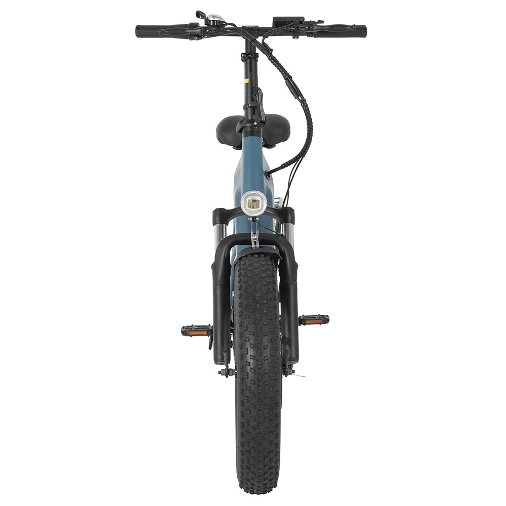 DYU FF500 Electric Bike 20" Fat Tires 500W Motor 48V 14Ah Battery