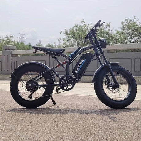 EKXBIKE T1 Electric Dirt Bike 20" Off-Road Fat Tires 1000W Motor