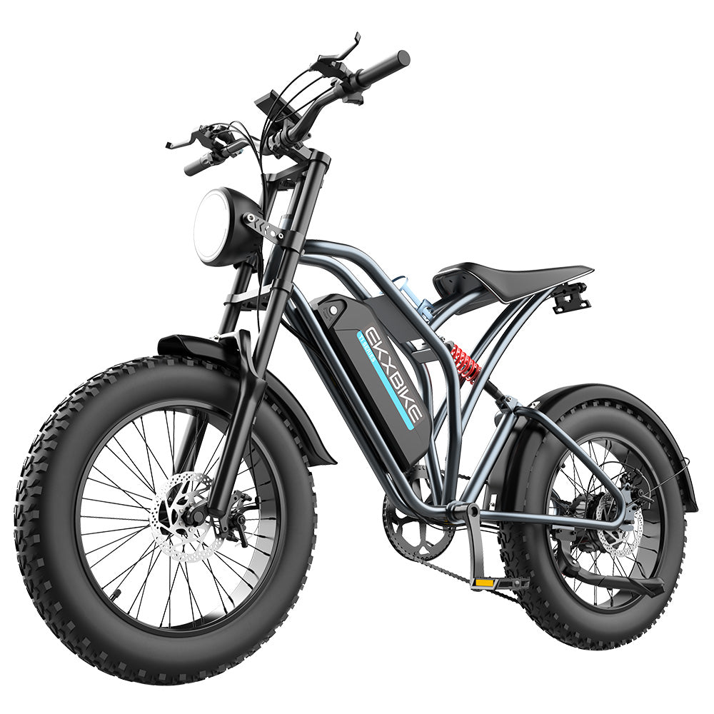 EKXBIKE T1 Electric Dirt Bike 20" Off-Road Fat Tires 1000W Motor