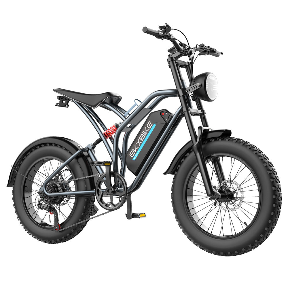 EKXBIKE T1 Electric Dirt Bike 20" Off-Road Fat Tires 1000W Motor