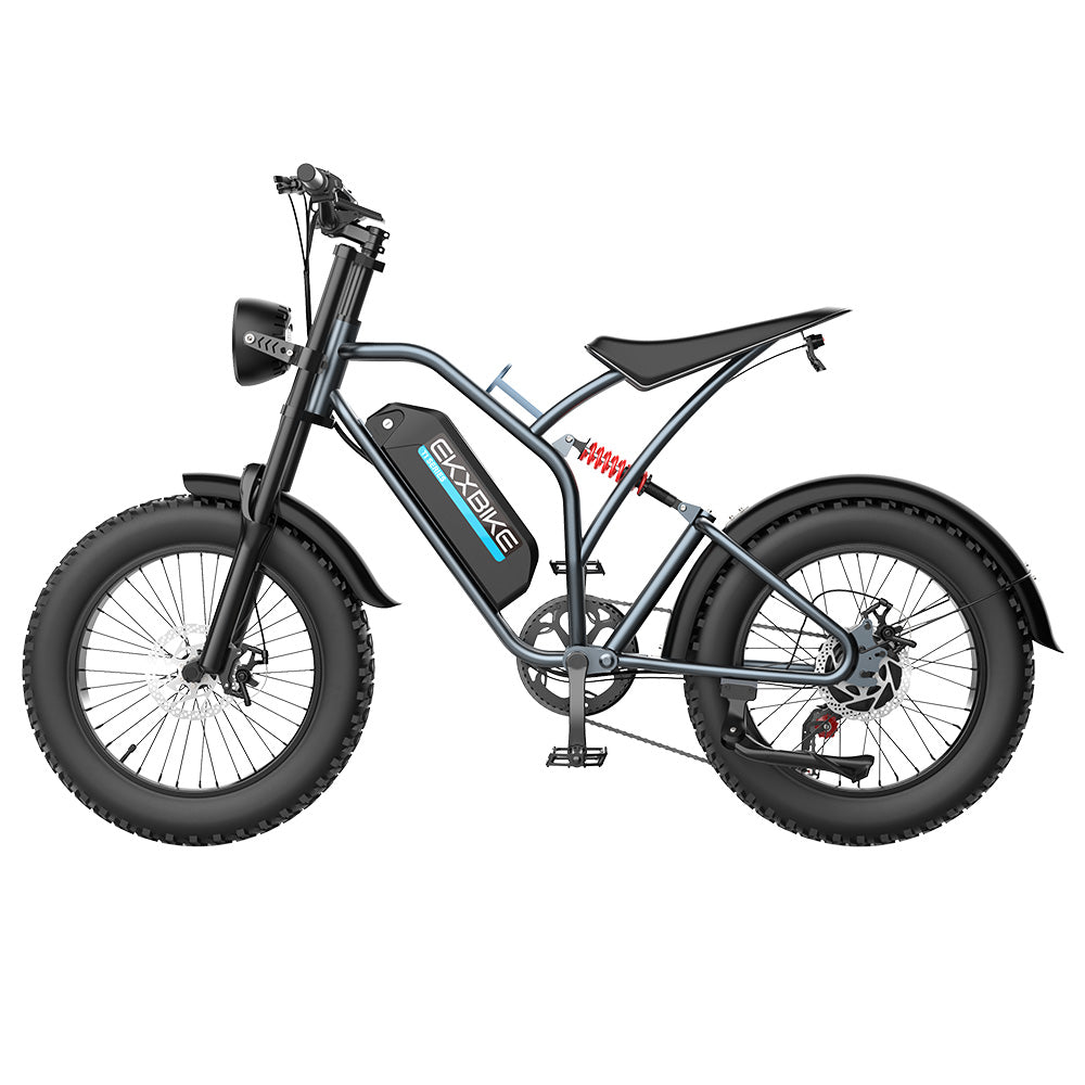 EKXBIKE T1 Electric Dirt Bike 20" Off-Road Fat Tires 1000W Motor