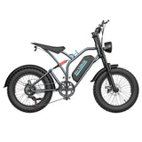 EKXBIKE T1 Electric Dirt Bike 20" Off-Road Fat Tires 1000W Motor