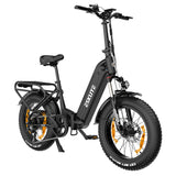 ESKUTE ES-20-LJXD Electric Bike 20" Tires 250W Motor 36V 25Ah Battery