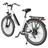 ESKUTE ES-28-LJ Electric Bike 28" Tires 250W Motor 36V 20Ah Battery