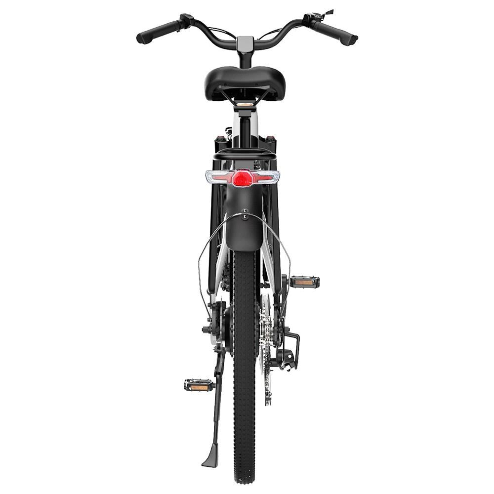 ESKUTE ES-28-LJ Electric Bike 28" Tires 250W Motor 36V 20Ah Battery