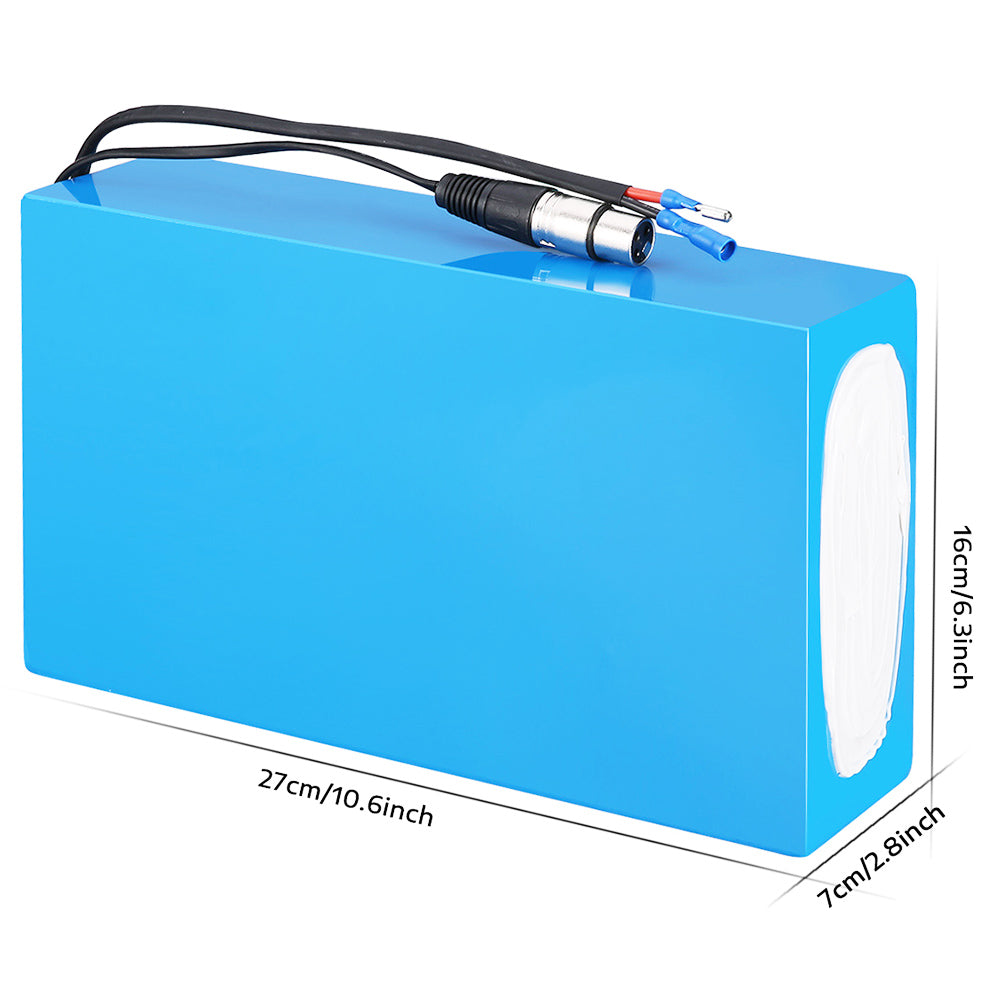 HANIWINNER HA201 Electric Bike Battery 48V 20Ah Cell Pack