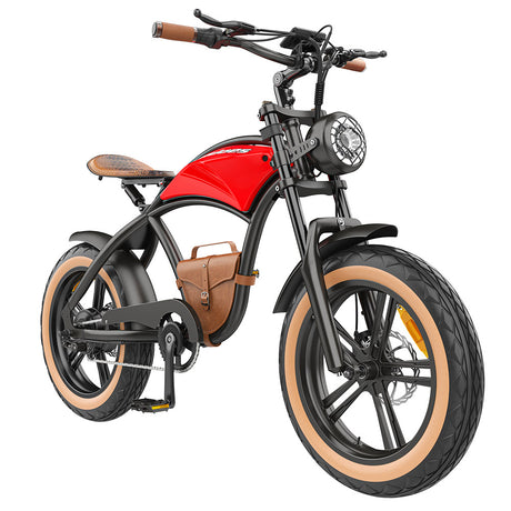 Hidoes B10 Electric Dirt Bike 20" Fat Tires 1000W Motor 48V 12.5Ah Battery