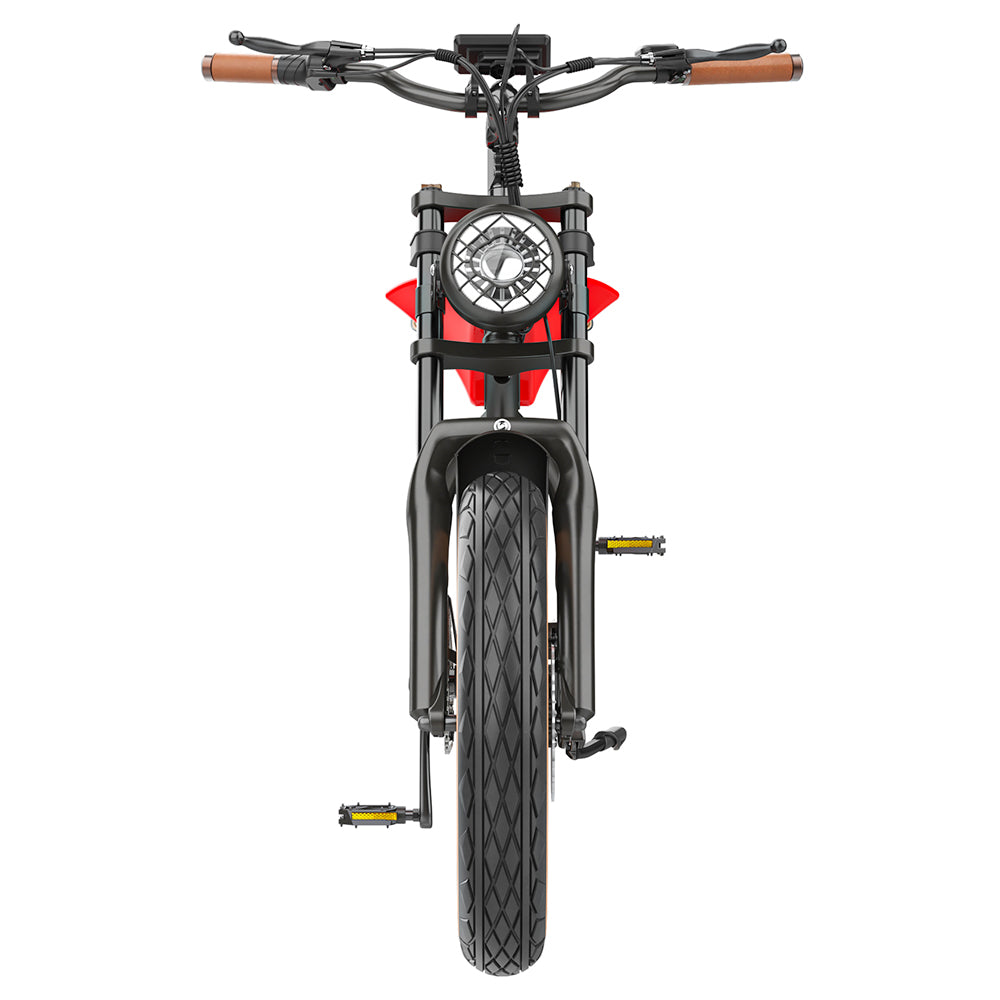 Hidoes B10 Electric Dirt Bike 20" Fat Tires 1000W Motor 48V 12.5Ah Battery