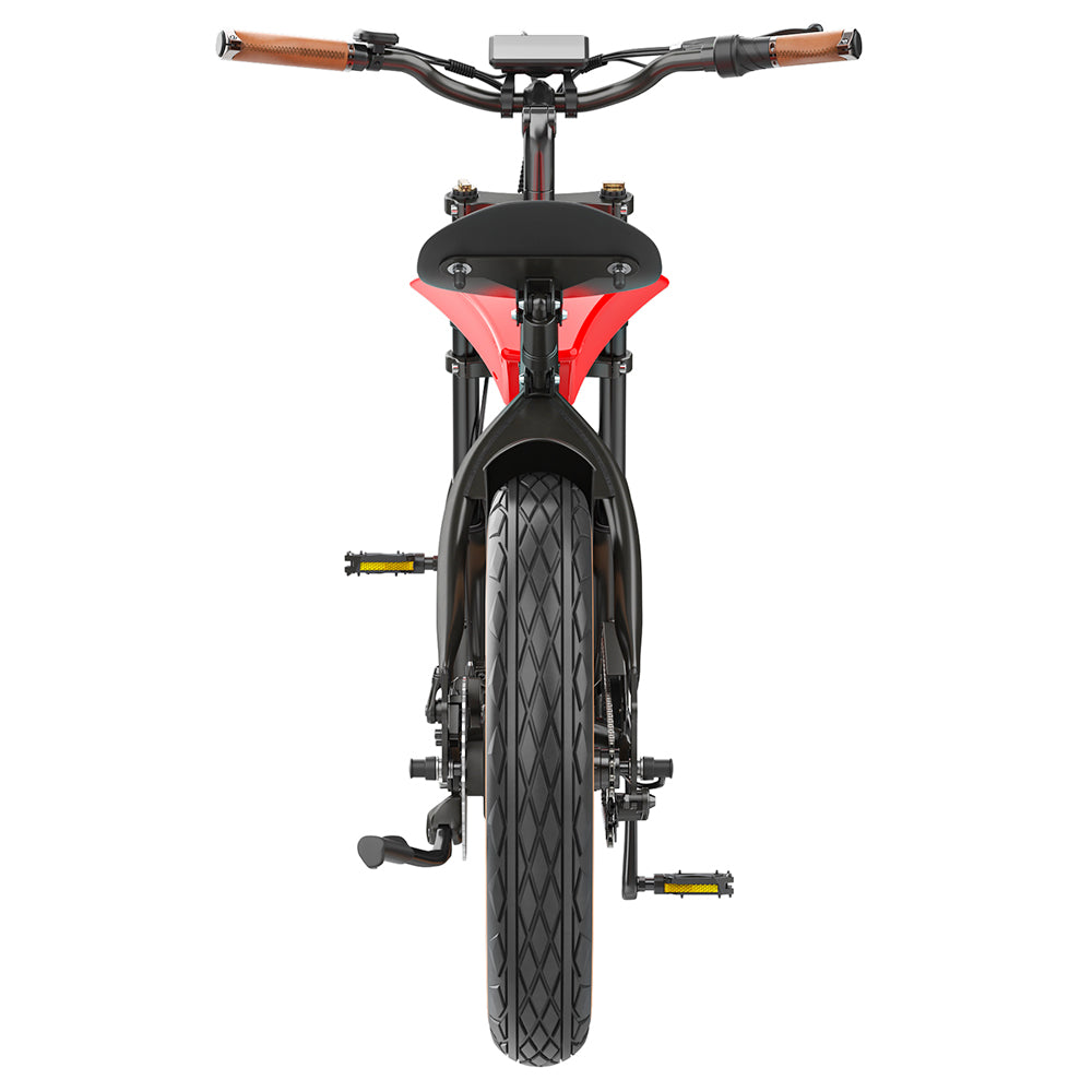 Hidoes B10 Electric Dirt Bike 20" Fat Tires 1000W Motor 48V 12.5Ah Battery