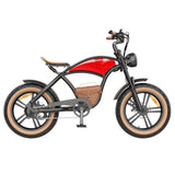 Hidoes B10 Electric Dirt Bike 20" Fat Tires 1000W Motor 48V 12.5Ah Battery