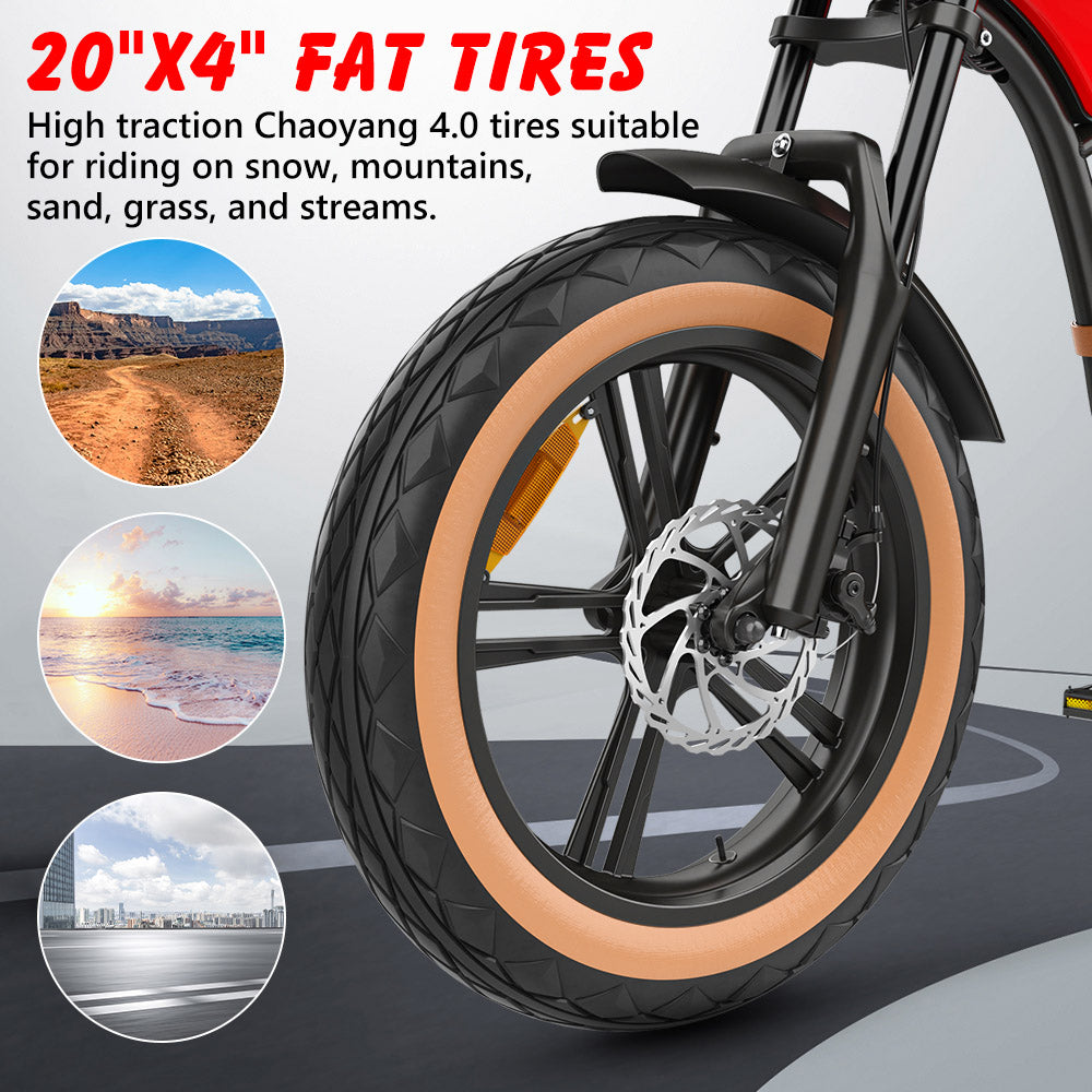 Hidoes B10 Electric Dirt Bike 20" Fat Tires 1000W Motor 48V 12.5Ah Battery