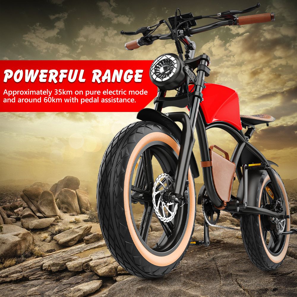 Hidoes B10 Electric Dirt Bike 20" Fat Tires 1000W Motor 48V 12.5Ah Battery