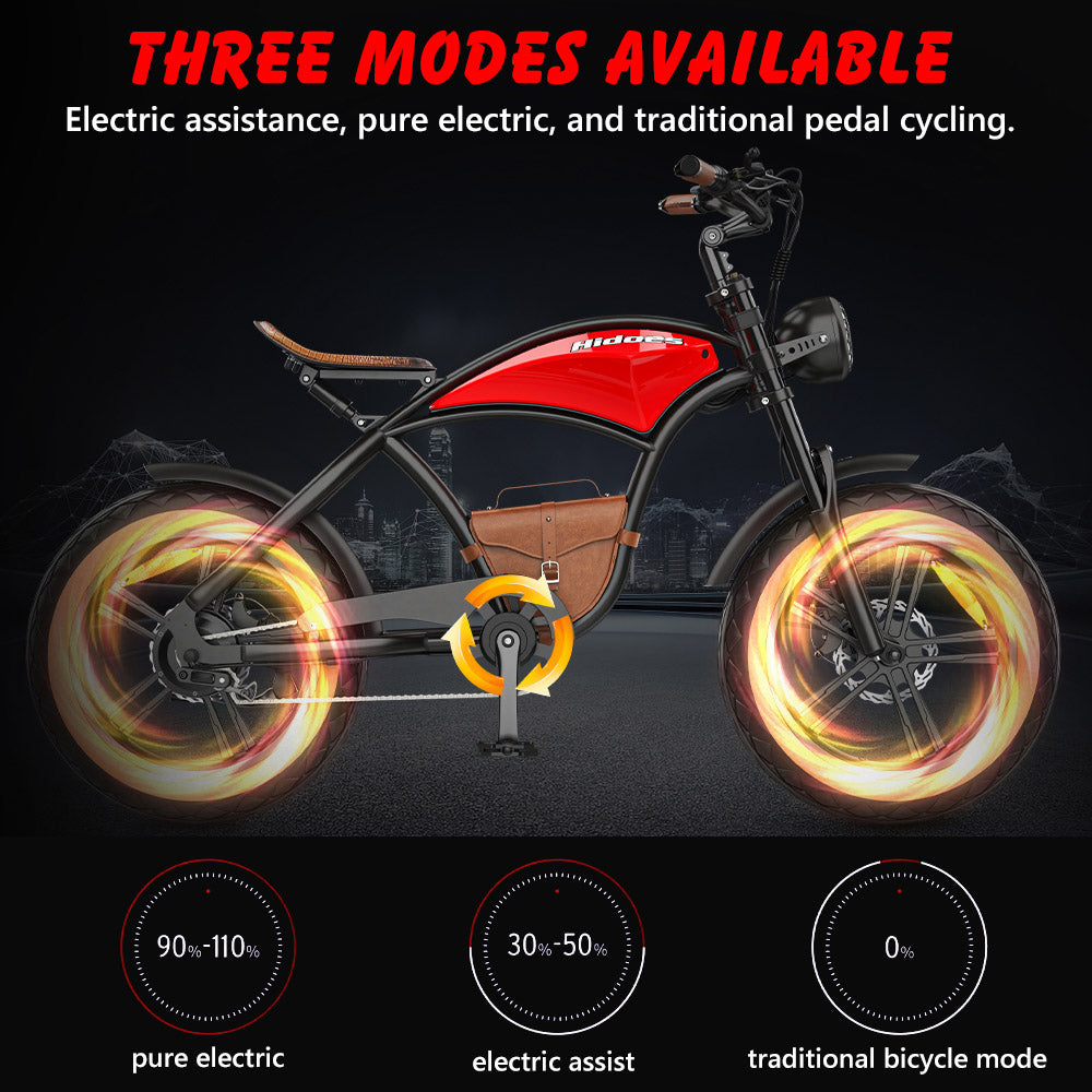 Hidoes B10 Electric Dirt Bike 20" Fat Tires 1000W Motor 48V 12.5Ah Battery