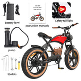 Hidoes B10 Electric Dirt Bike 20" Fat Tires 1000W Motor 48V 12.5Ah Battery