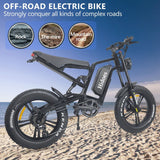 Hidoes B6 Electric Dirt Bike 20" Fat Tires 1200W Motor 48V 17.5Ah Battery